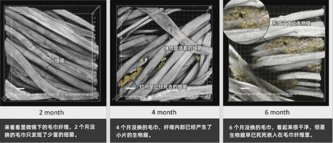 的同款毛巾！我们低价搞到了AG真人登录胖某来刚上架(图4)