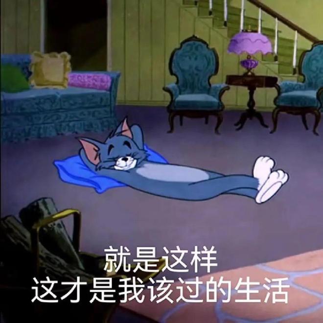 里不舒服的小事日子真的会变爽！AG真人网页花几十块钱解决家(图11)